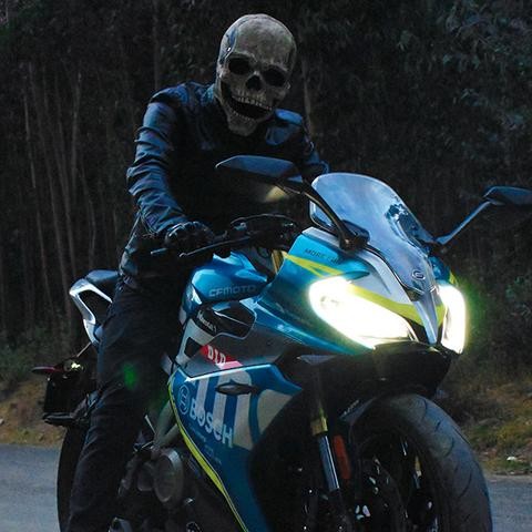 Skull Mask W/ Movable Jaw