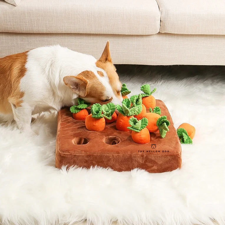 CozyCazza™ Carrot Farm