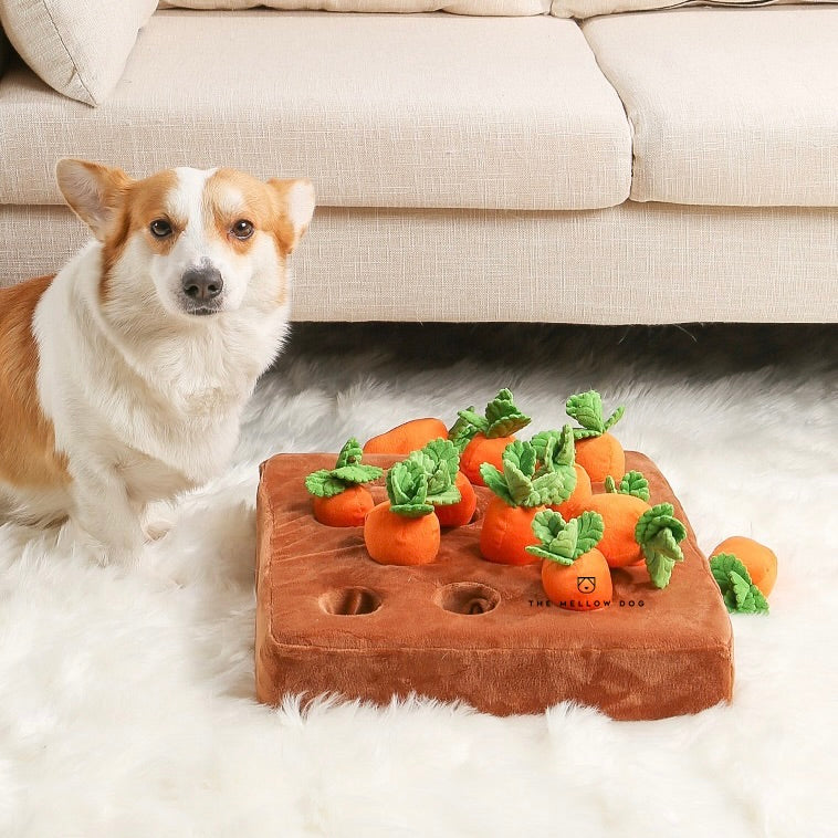 CozyCazza™ Carrot Farm