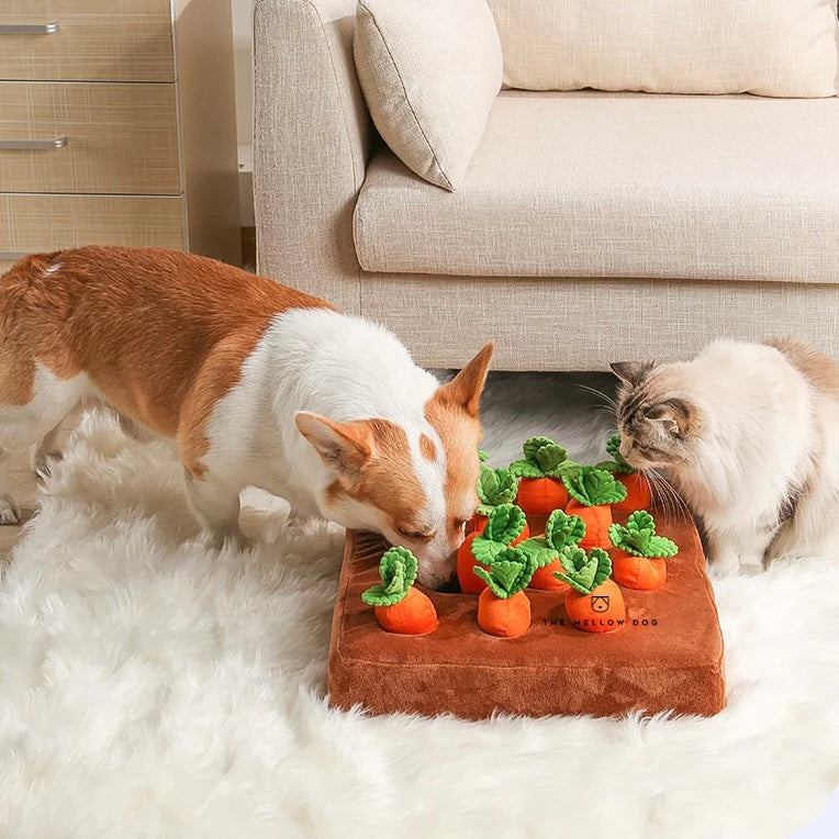 CozyCazza™ Carrot Farm