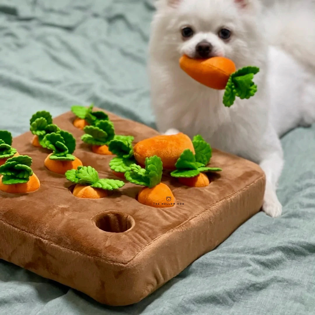 CozyCazza™ Carrot Farm